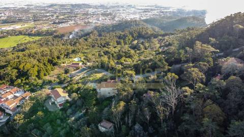 Vende-se Quinta com 13386m2 em São Pedro de Penaferrim, Sintra