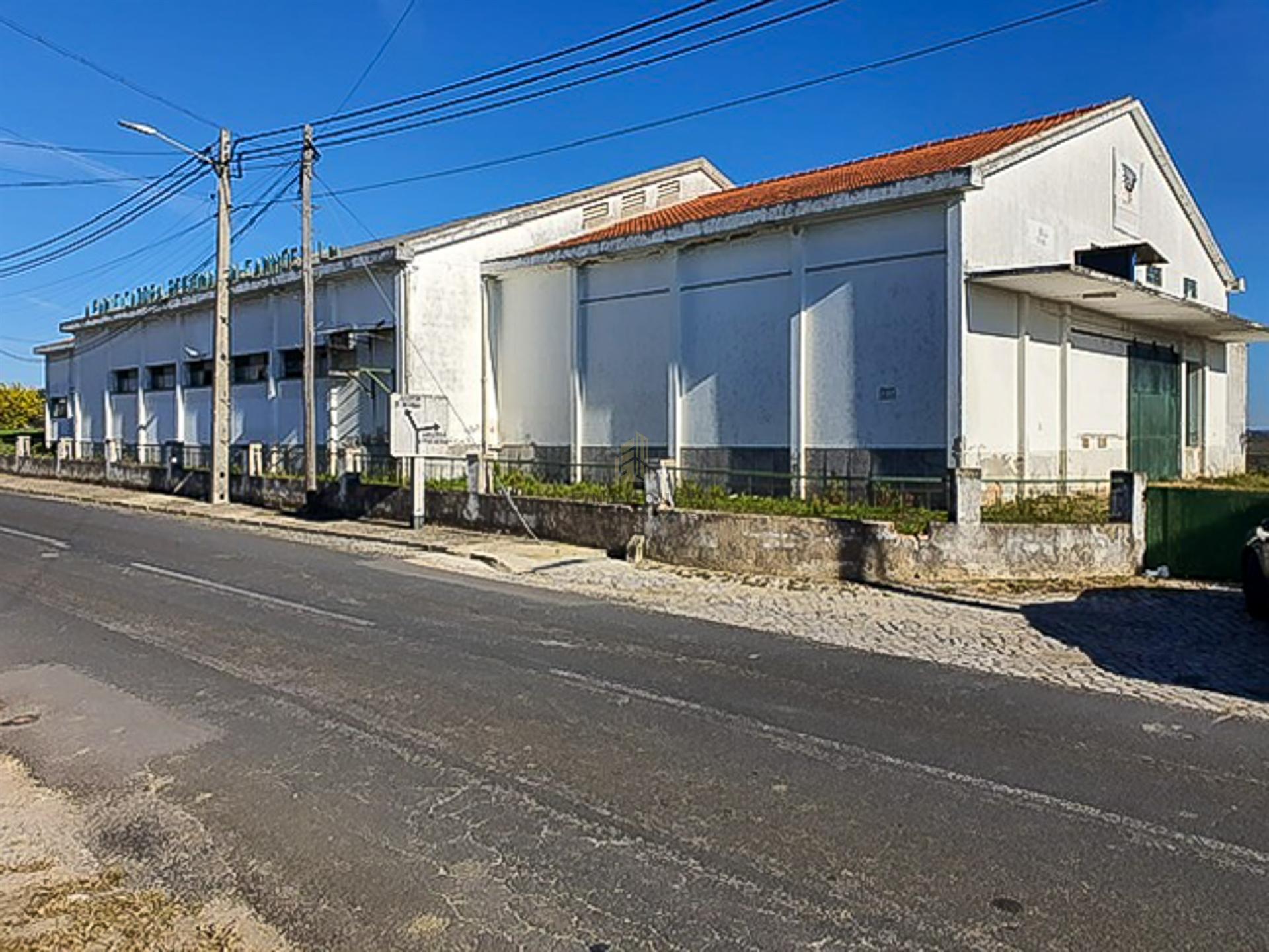 Armazém Industrial em terreno urbano, com amplo logradouro em Alcanhões, Santarém