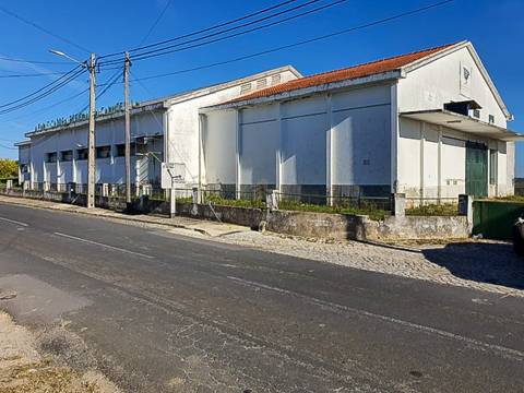 Armazém Industrial em terreno urbano, com amplo logradouro em Alcanhões, Santarém
