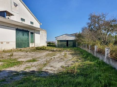 Armazém Industrial em terreno urbano, com amplo logradouro em Alcanhões, Santarém