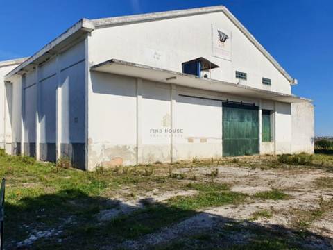 Armazém Industrial em terreno urbano, com amplo logradouro em Alcanhões, Santarém