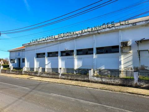 Armazém Industrial em terreno urbano, com amplo logradouro em Alcanhões, Santarém