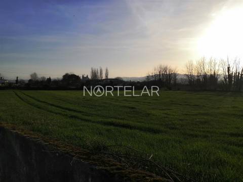 Terreno rústico com 6000m2 em Santiago de Bougado, Trofa