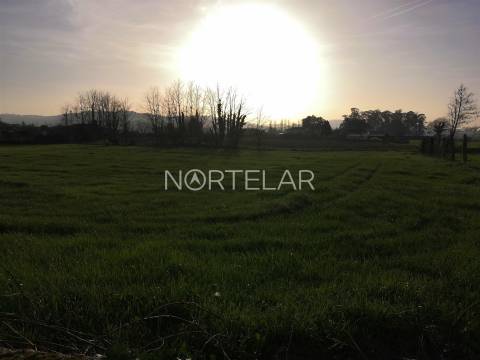 Terreno rústico com 6000m2 em Santiago de Bougado, Trofa