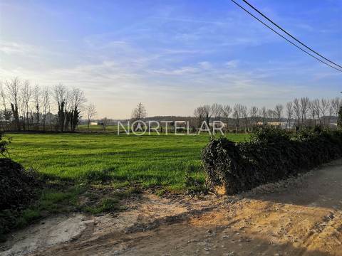 Terreno rústico com 6000m2 em Santiago de Bougado, Trofa