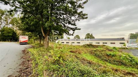 Terreno Industrial - São Mamede Coronado, Trofa