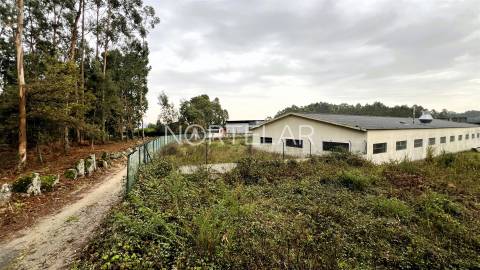 Terreno Industrial - São Mamede Coronado, Trofa