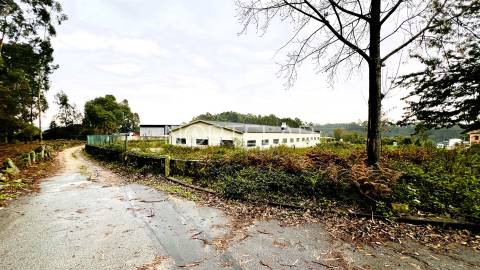 Terreno Industrial - São Mamede Coronado, Trofa