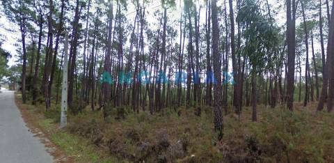 ANG109 - Terreno para Construção para Venda em Arrabal