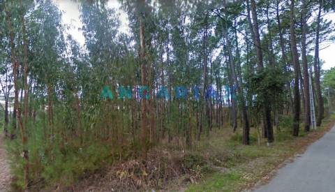 ANG109 - Terreno para Construção para Venda em Arrabal