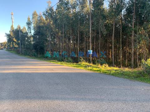 ANG109 - Terreno para Construção para Venda em Arrabal