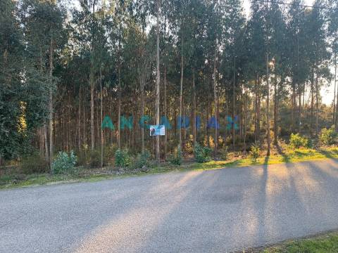 ANG109 - Terreno para Construção para Venda em Arrabal