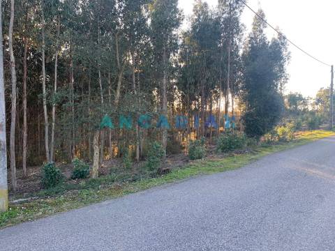 ANG109 - Terreno para Construção para Venda em Arrabal