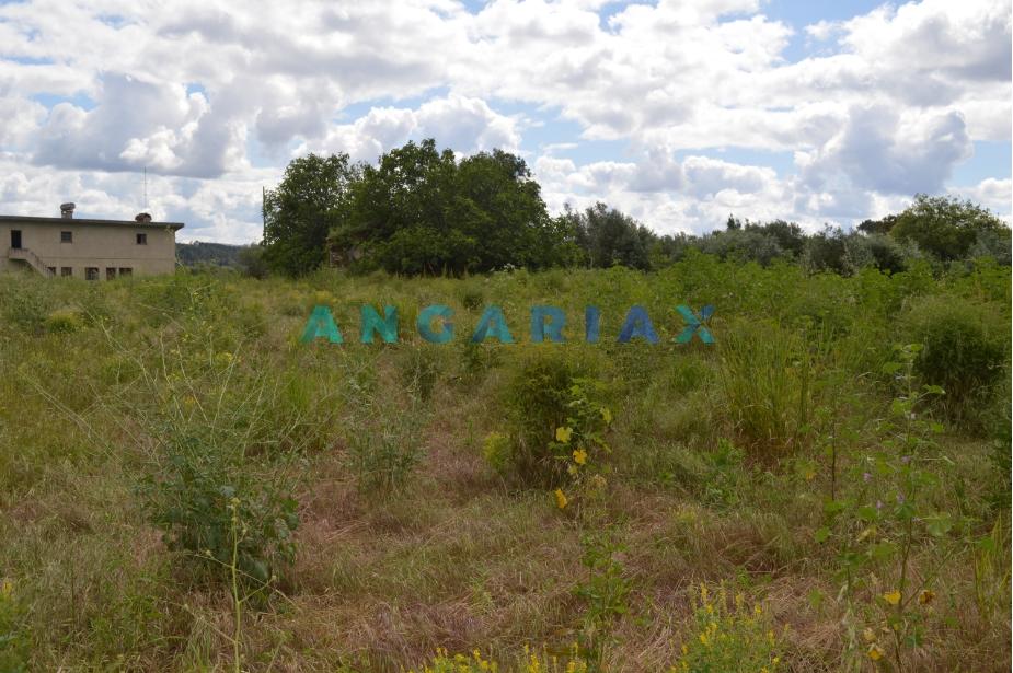 ANG134 - Terreno para Venda em Ourém