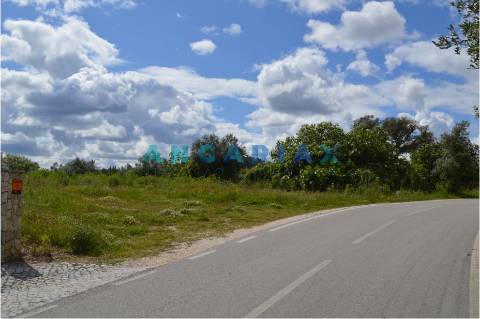 ANG134 - Terreno para Venda em Ourém