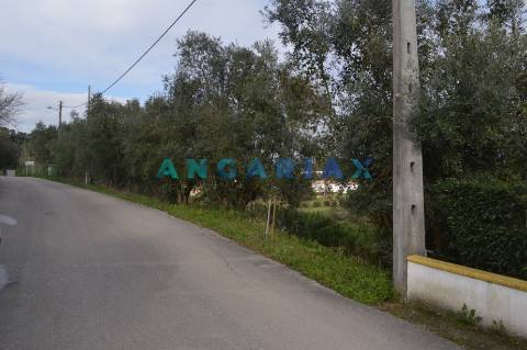 ANG144 - Terreno para Venda em Freixial