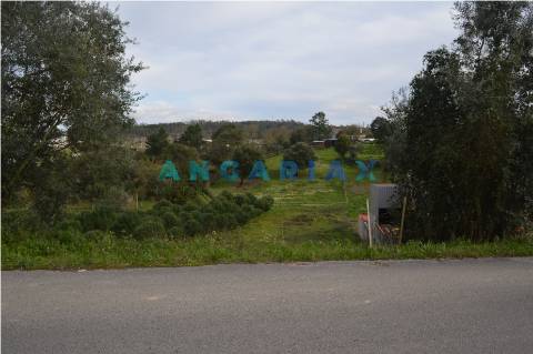 ANG144 - Terreno para Venda em Freixial