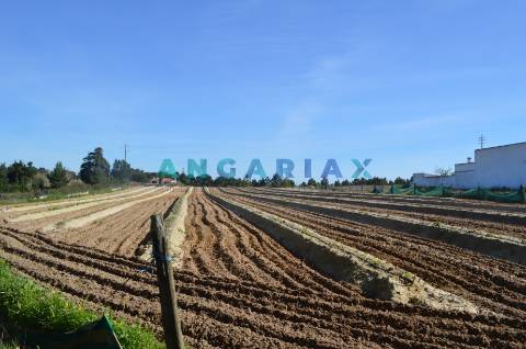 ANG157 - Terreno para Venda em Aveiras de Cima