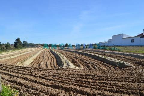 ANG157 - Terreno para Venda em Aveiras de Cima