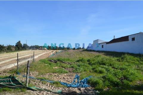 ANG157 - Terreno para Venda em Aveiras de Cima