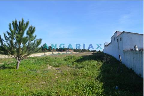 ANG157 - Terreno para Venda em Aveiras de Cima