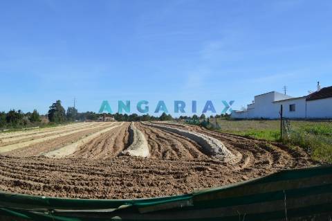 ANG157 - Terreno para Venda em Aveiras de Cima