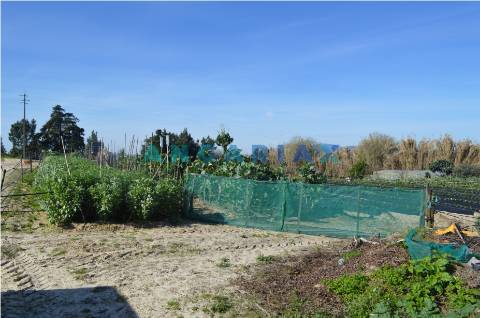 ANG157 - Terreno para Venda em Aveiras de Cima