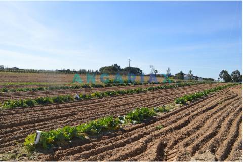 ANG157 - Terreno para Venda em Aveiras de Cima