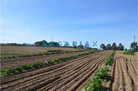 ANG157 - Terreno para Venda em Aveiras de Cima