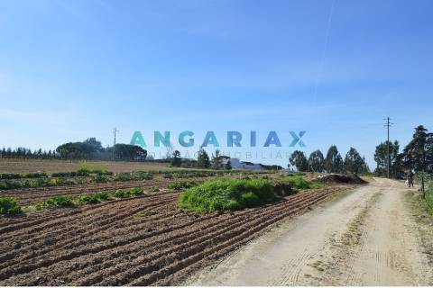 ANG157 - Terreno para Venda em Aveiras de Cima