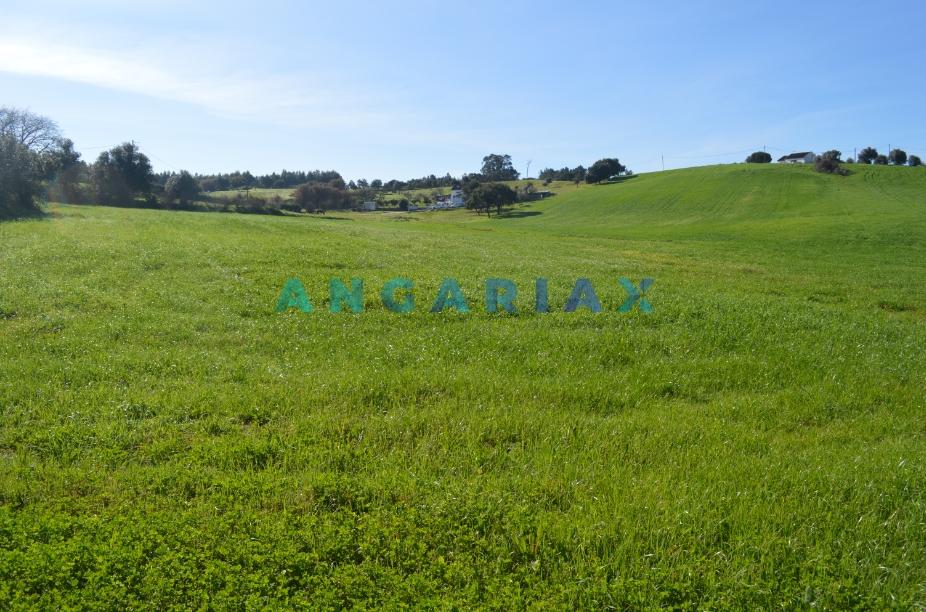 ANG159 - Terreno para Venda em Aveiras de Cima, Lisboa