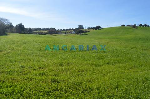 ANG159 - Terreno para Venda em Aveiras de Cima, Lisboa