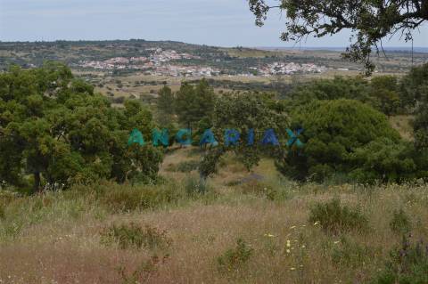 ANG256 - Terreno Rústico para Venda em Rosmaninhal