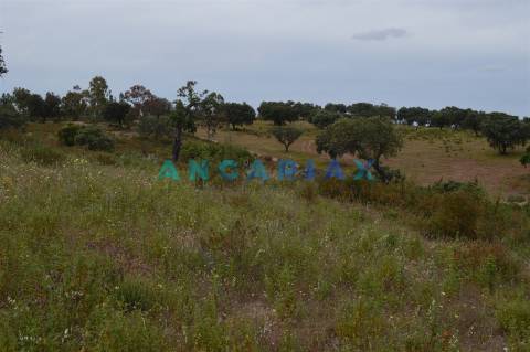 ANG256 - Terreno Rústico para Venda em Rosmaninhal