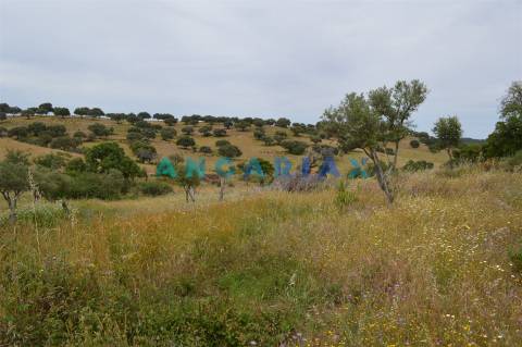 ANG256 - Terreno Rústico para Venda em Rosmaninhal