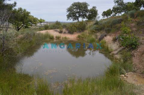 ANG256 - Terreno Rústico para Venda em Rosmaninhal