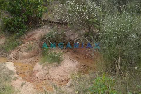 ANG256 - Terreno Rústico para Venda em Rosmaninhal