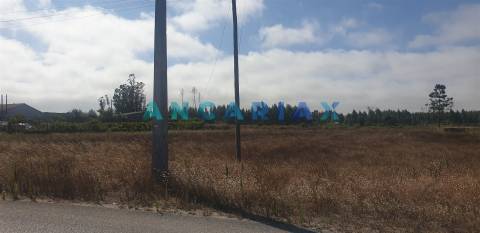 ANG298 - Terreno de Construção  para Venda em Carvide