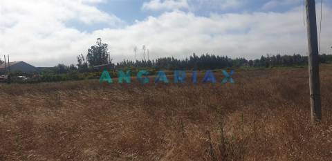 ANG298 - Terreno de Construção  para Venda em Carvide