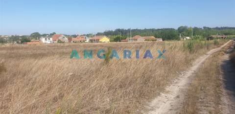 ANG298 - Terreno de Construção  para Venda em Carvide
