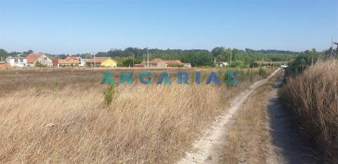 ANG298 - Terreno de Construção  para Venda em Carvide