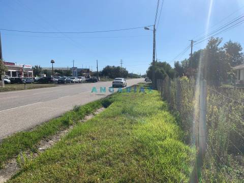 ANG319 - Terreno com 2000m2 para Venda em São Jorge