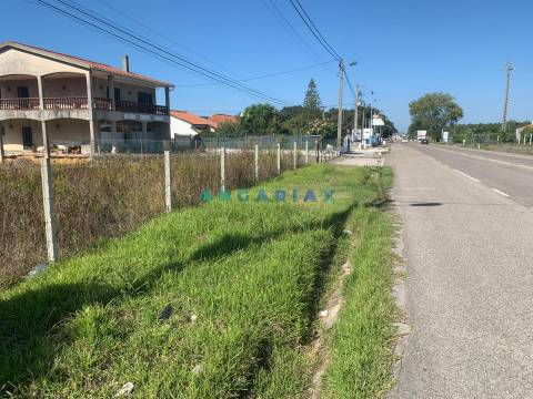 ANG319 - Terreno com 2000m2 para Venda em São Jorge