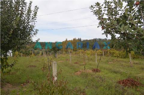 ANG351 - Terreno Rústico para Venda em Soure