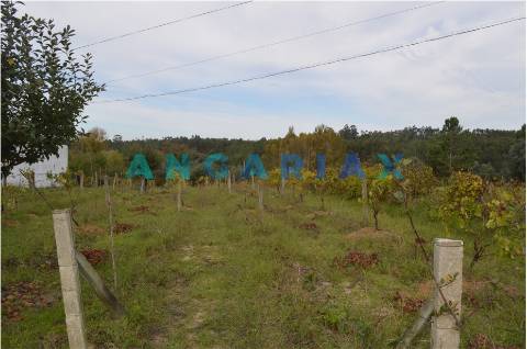 ANG351 - Terreno Rústico para Venda em Soure