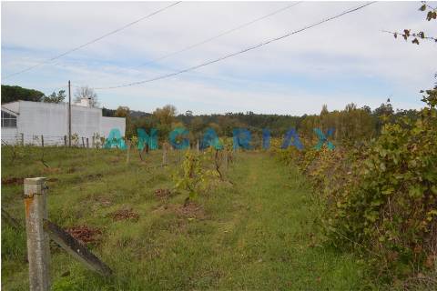 ANG351 - Terreno Rústico para Venda em Soure