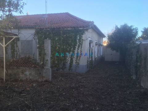 ANG354 - Terreno com projeto aprovado e Moradia T3 para Venda em Marinha Grande