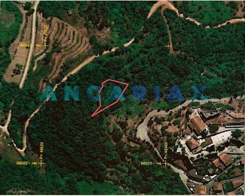 ANG407 - Terreno com 9900m2 para construção em Penela