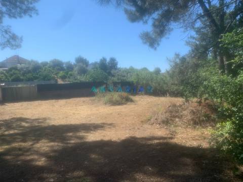 ANG481 - Terreno para construção para Venda em Campo Amarelo, Leiria