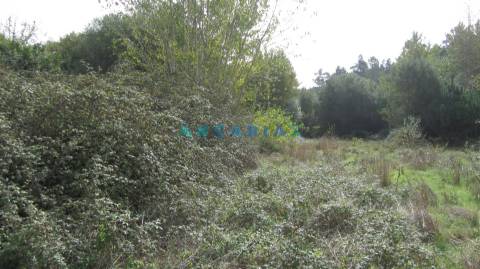 ANG593 - Terreno com 550m2 para Venda em Pombal